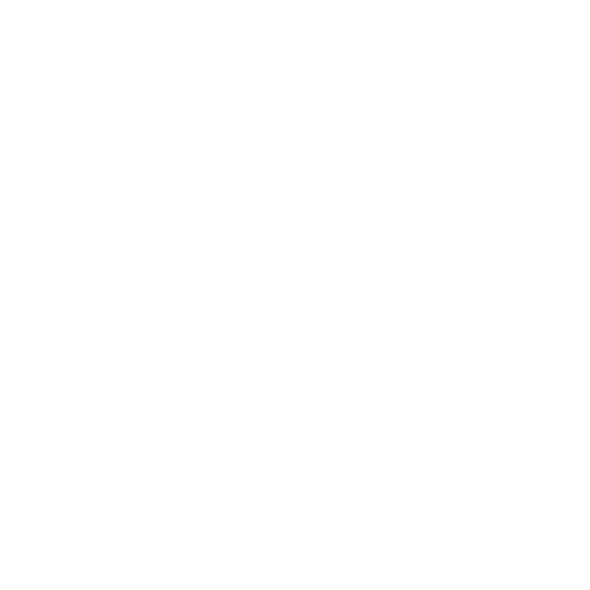 feature-item-4